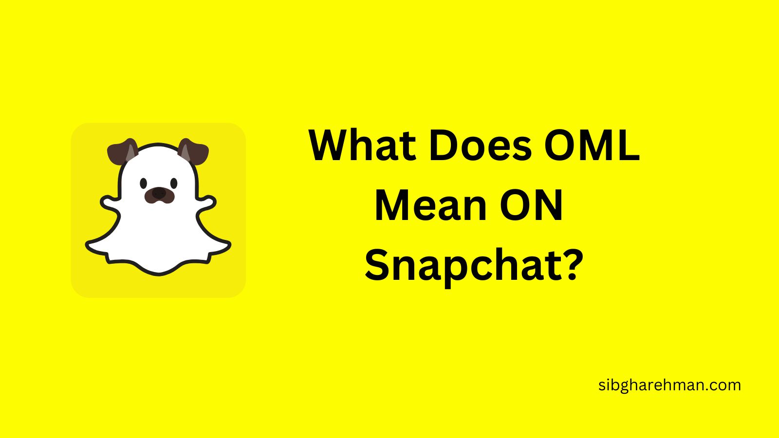 What Does OML Mean On Snapchat